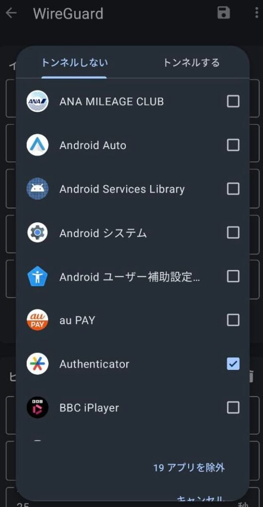 WireguardAPP的通道设置