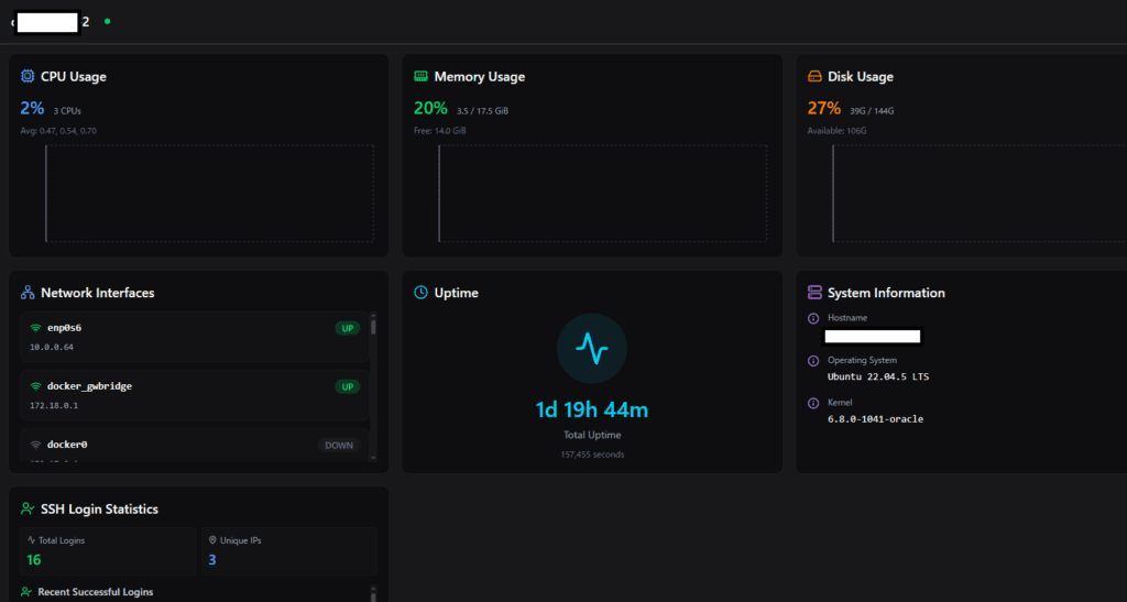 termix的VPS状态页面