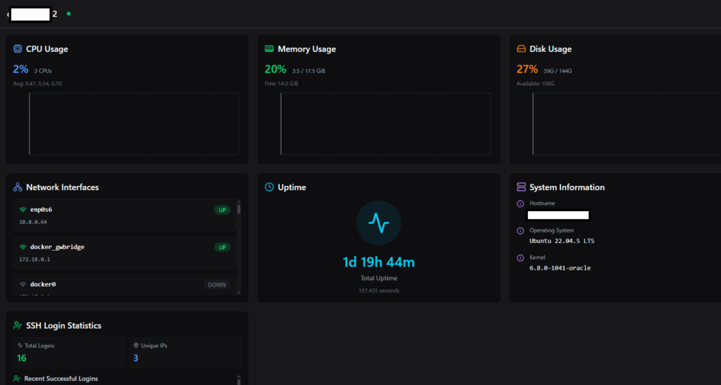 termix的VPS状态页面